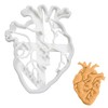 Cortador de galletas anatómico Corazón, 1 pieza - Bakerlogy