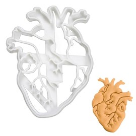 Cortador de galletas anatómico Corazón, 1 pieza - Bakerlogy