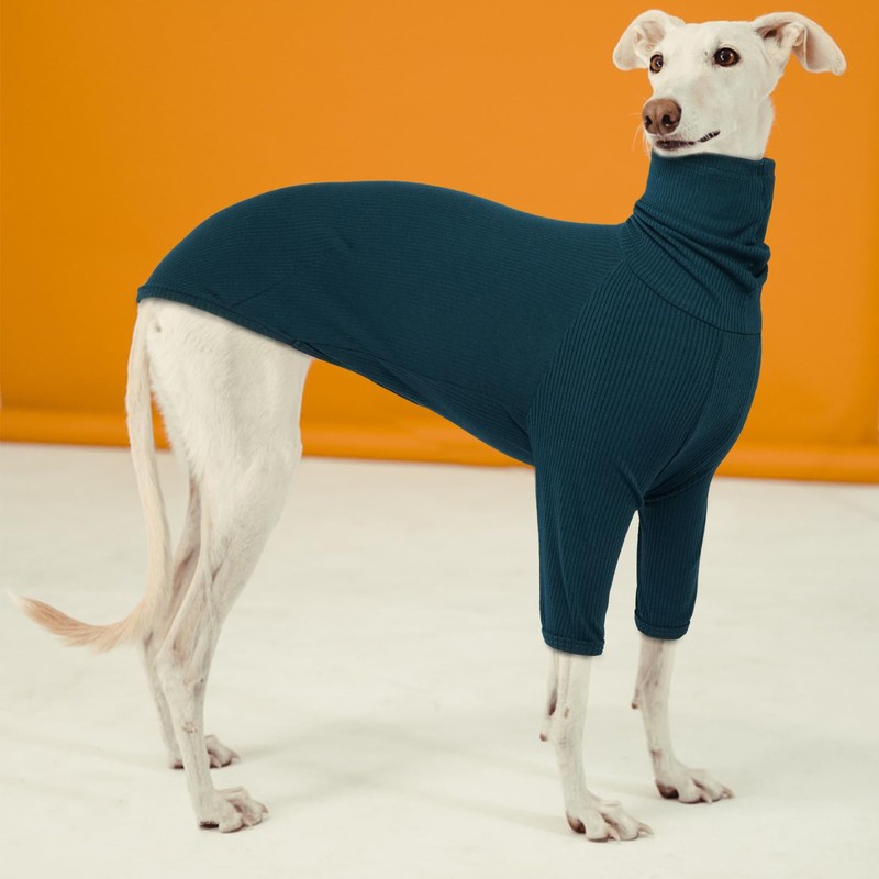 Whippet Jumper, Shirt Whippet Turtleneck Pullover, Italian Greyhound Coat, Italian