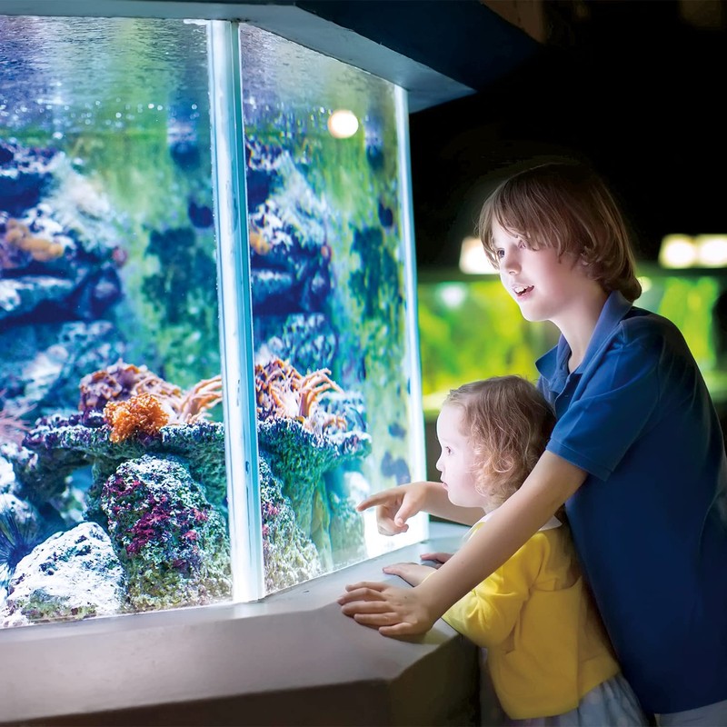 EVANS Bomba sumergible para fuentes y estanques de 30 W