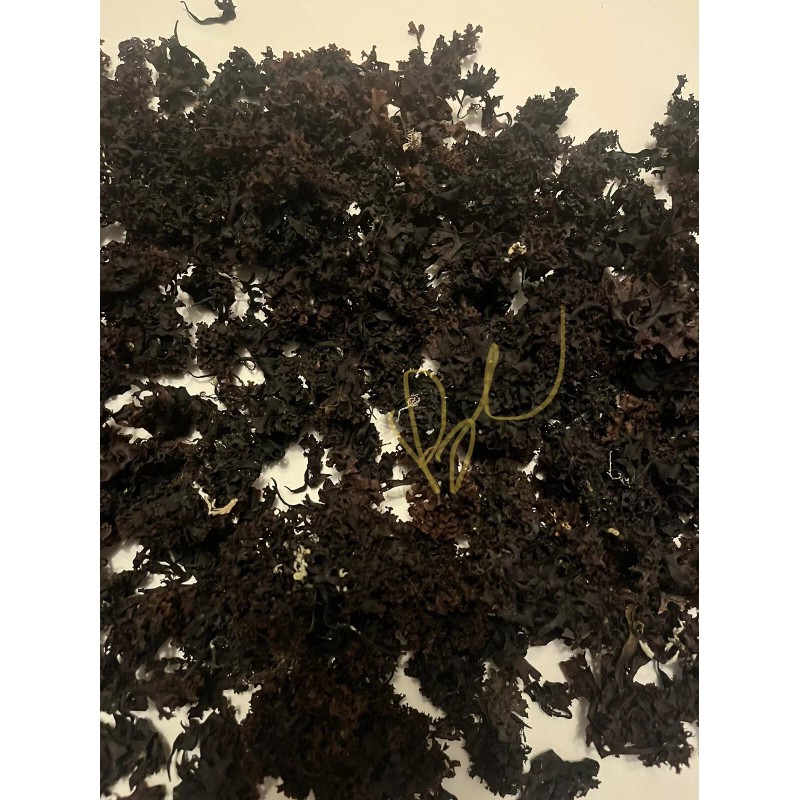Unbranded Irish Moss Wild Atlantic Chondrus Crispus Carrageen Whole Leaf