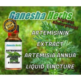 GANESHA HERBS  ARTEMISININ - Artemisia Annua  - Sweet Wormwood  Liquid Tincture 2 ounces
