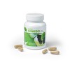 Ginkgo 240 mg | Ginkgo High Dose EDOSO | 60