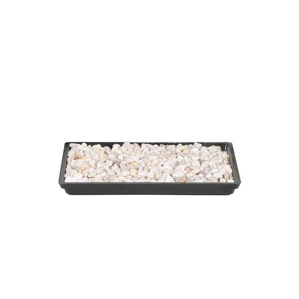 Brussel's 8" Humidity Tray with Decorative Rocks
