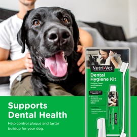Nutri-Vet Dental Hygiene Kit for Dogs with Toothbrush, Finger Toothbrush and Enzymatic Toothpaste, 2.5 oz, 5 x 10 x 1.2 Inch