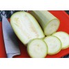 30 RUSSIAN WHITE Squash (Zucchini) Seeds