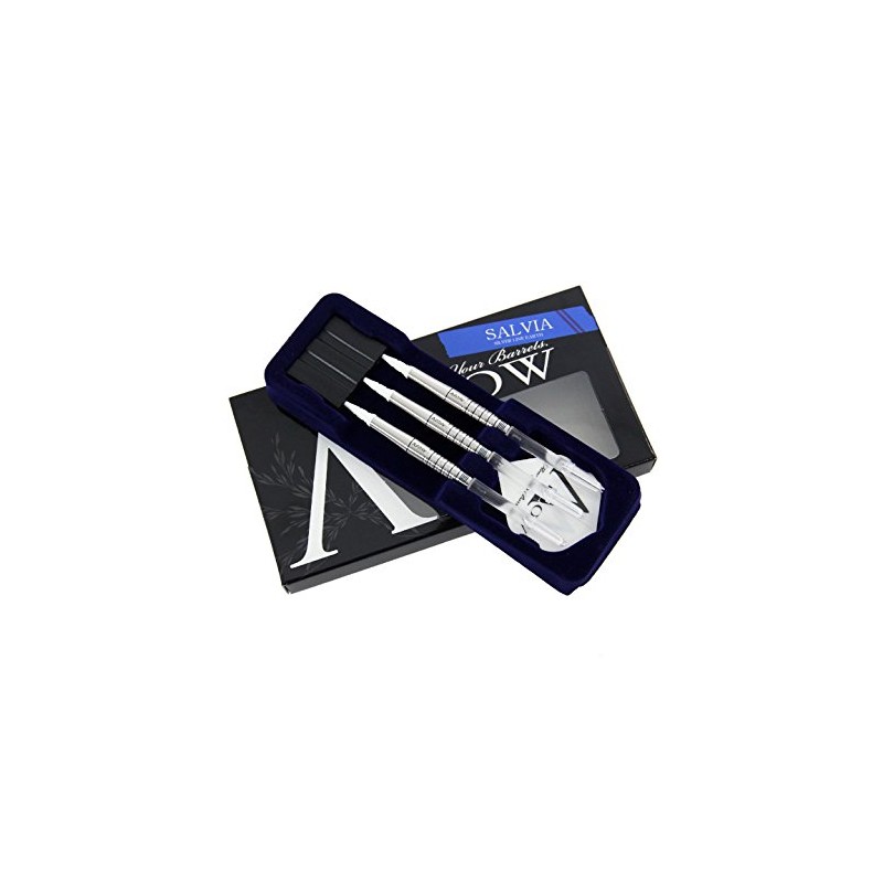 DYNASTY A-FLOW SILVER LINE EARTH SALVIA サルビア 2BA ソフトダーツ バレル