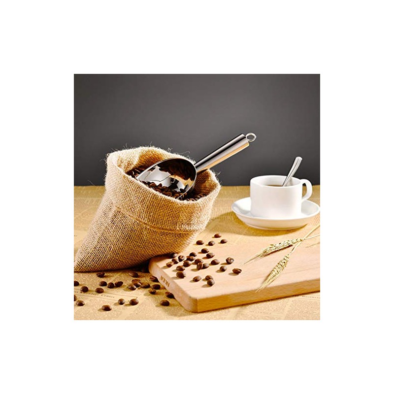 Cuchara de hielo inoxidable, pala de harina, duradera para cocina