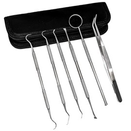 SURGICAL ONLINE Professional Dental Tools Kit, Teeth Cleaning Oral Care Kit, Tooth Pick Dental Mirror, Tartar Scraper, Dental Probe, Dental Scaler, Dental Tweezer 6 pcs with Pouch