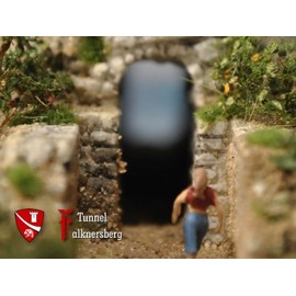 Falknersberg Tunnel, Building Kit, Track N