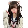 Wig, Semi-Long, Gradient, Straight, Full Wig, Women's, Natural, Small Face,