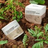 formulaLycocell (Discount event) Lycocell Cica + Wormwood Redness Super Soothing