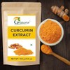  WF Pure Curcumin Extract Powder, 95% Curcuminoids, 3.5 oz,