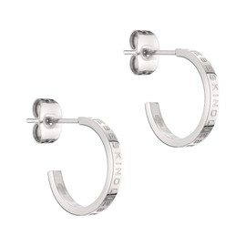 Stainless Steel Hoop Earrings, Stainless Steel, No Gemstone