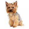 Yorkshire Terrier Aufkleber, Reflektierend, Lustige Wasserfest Aufkleber für Laptop, Kühlschrank,