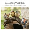 Bird Gutter Downspout Statue Splash Block Outdoor Garden Decoration, 11.4”