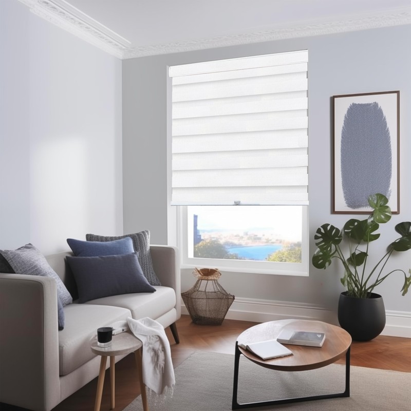 CHICOLOGY Zebra Blinds , Roller Window Shades , Blinds for