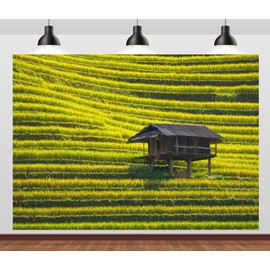 CORFOTO 8x6ft Fabric Green Rice Terraces Backdrop Country Field Landscape Photography Backdrop Vietnam Terraced Rice Field Nature Background Outdoor Travel Photo Studio