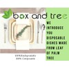BOX And Tree | 25 x 20cm Biodegradable Biodegradable Compostable