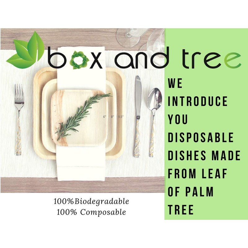BOX And Tree | 25 x 20cm Biodegradable Biodegradable Compostable