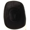 BR Zebra HAT Adult Cowboy Print Wild West Costume Party
