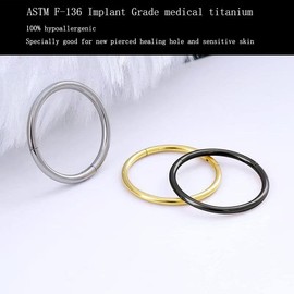 PIERCINGFUN Women Men G23 Titanium Hinged Piercing Nose Rings Hoop 2Pcs 20G 8mm for Nostril Septum Cartilage Helix Daith Tragus Rook Conch Lip Ear Lobe Belly Eyebrow Piercings