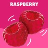 Jell-O Raspberry Gelatin Dessert Mix, 3 oz Box (Pack of