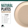EconoHome 12 Inch Compostable Paper Plates [50-Pack] - Eco-Conscious Disposable