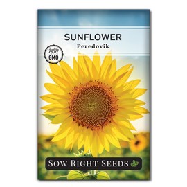 Sow Right Seeds - Peredovik Sunflower Seeds for Planting - Non-GMO Heirloom Packet with Instructions for Growing - Russian Black Sun Flower - Great for Wildlife and Sunflower Oil - Annual Blooms (1)