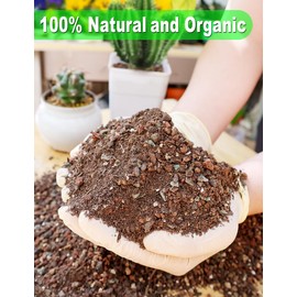 TOYPOPOR Succulent Soil, Cactus Potting Mix 12 Pounds/6QTS, High Drainage, Pre-Mixed Ready to Use for All Succulent Varieties, Indoor Plants, Bonsai, Terrarium, Houseplant, 70% Particles 30% Soil