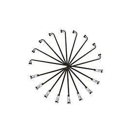 37 Pieces Spokes 288 mm spokes Black Frame 2 mm including Brass Nipple