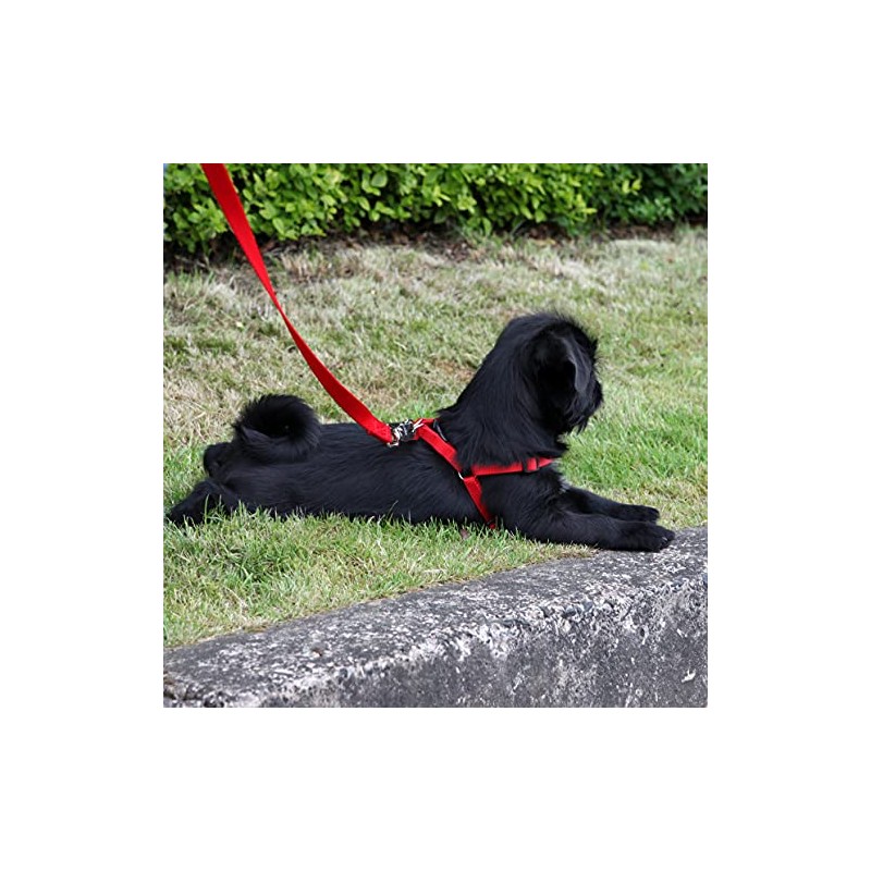 Rosewood Harness, Medium, Red