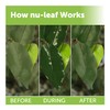 Nudell Nu-Leaf Spray & Drip-Dry Artificial Tree and Silk Plant