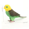 Vaguelly Simulation Parrot Toy Plastic Animal Ornament for Educational