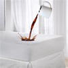 Family Bedding King Size Mattress Protector waterproof 100% Cotton Terry