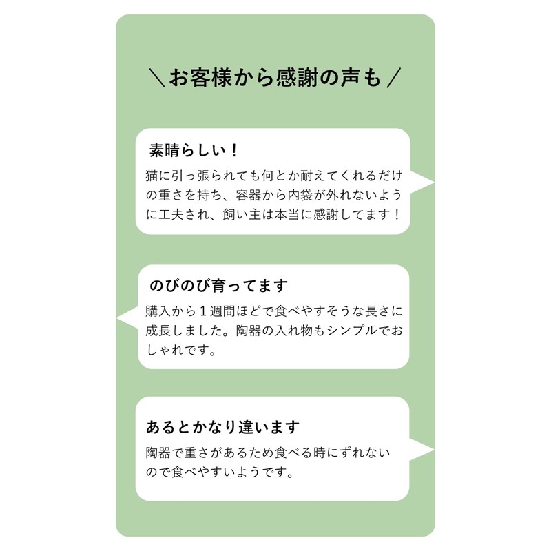 HARIO Cat Grass Cultivation Kit, Nyanbagi and Others 2 Pack