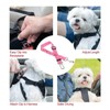 CVNRCLP Adjustable Elastic Dog Seat Belt for Cars - Durable