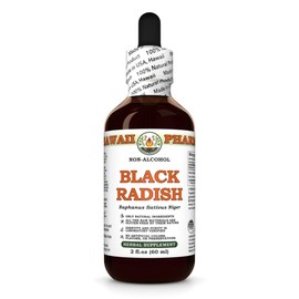 Black Radish (Raphanus Sativus Niger) Dry Root Glycerite, Made in Hawaii, All Natural, Vegan, Lab Tested Alcohol-Free Liquid Extract - 2 fl.oz