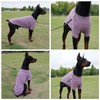 Lovelonglong Ribbed Dog T-Shirt Cotton Knitted Dog Sweaters for All