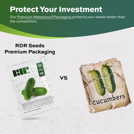 National Pickling Cucumber Seeds for Planting - Heirloom, Non-GMO, USA Grown Seeds in Premium Waterproof Packaging with Plant Information and Instructions - Cucumis Sativus