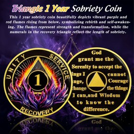 Delicate Triangle 1 Year Sobriety Coin - Purple Reborn from Fire AA Coins - Recovery Addiction NA AA Chips and Medallions - Affirmation 1-10 Prime Narcotics Alcoholics Anonymous Gifts for Men Women