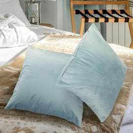 Betadistor Set of 2 Decorative Cushion Covers Solid Soft Velvet Pillow Covers with Invisible Zipper Square Throw Pillow Cases for Sofa Car Patio Bedroom Living Room 45x45cm Light Blue, 516-0340