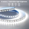 LED Strips