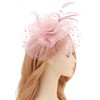 DRESHOW Fascinators Hat Flower Mesh Ribbons Feathers on a Headband