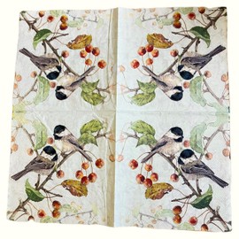 20-ct 6.5 Couple Bird Napkins for Decoupage Beautiful Bird Paper Napkins Mother's Day Napkins Fall Napkins Decorative for Decoupage All Season Napkins Pretty Father's napkins Chickadee Napkins