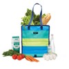 PackIt - Bolsa para alimentos congelable, rayas (Fresh Stripe), Una