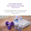 Mt. Capra Clean Recovery Post-Workout Hydration | Formerly Solar Synergy