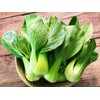 KIRA SEEDS - Seeds Chinese Cabbage Bok Choy - Heirloom