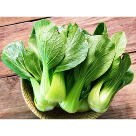 KIRA SEEDS - Seeds Chinese Cabbage Bok Choy - Heirloom Vegetable - GMO Free
