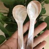 Pearl MOP Handmade Caviar Spoon W Round Handle for Caviar